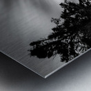 Tolquhon Castle Impression metal