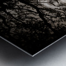 As the Day Fades Metal print