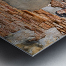 Boy With Dinosaur Metal print