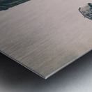 Alcatraz Recreation Yard Metal print