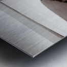 Kijkduin Beach Metal print