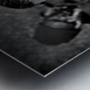 Different Lives Metal print