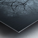 Winter in Central Park Metal print