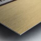 Ipoh Girl and Shutter Metal print