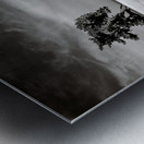 Beach Tree Metal print