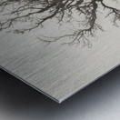 Dartmoor Solitude Metal print