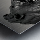 Trafalgar Square Lion Metal print