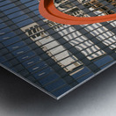 Red Flamingo Metal print