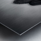 Two Towers Metal print