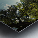 Burg Vischering Metal print