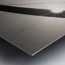 Sunlit Strings Metal print