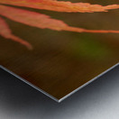 Japanese Maple Leaf Impression metal