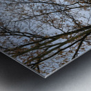 Edinburgh Castle Panorama Metal print