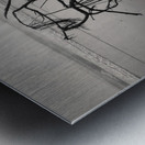 Washed Ashore Metal print