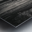 Plas Newydd Trees Metal print