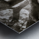 Bodnant Tree Impression metal