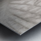 Hosta Leaf Metal print