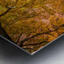 Autumn in Melbourne Impression metal