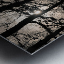 Woodland Waters Metal print