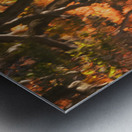 Shinjuku Gyoen Autumn Reflection Metal print