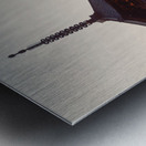 Yasaka Pagoda Metal print