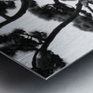 Kokyo Gaien Branches Metal print