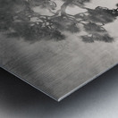 Pine Bonsai Reflection Metal print