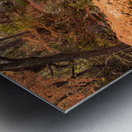 Autumn in Kokoen Garden Metal print