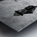 Lamp and Leaf Metal print