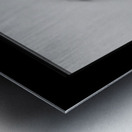 Kyoto House Plant Metal print