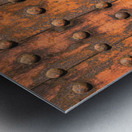 Himeji Castle Door Metal print