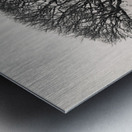 Islay Sentinel Metal print