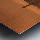 Last Light Over Osaka Bay Metal print