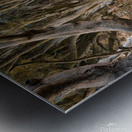 The Dark Hedges Metal print