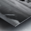 Icelandic Horses Metal print