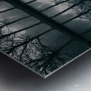 Wilhelminapark Metal print