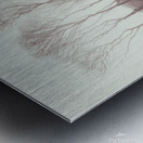 Misty Trees Metal print
