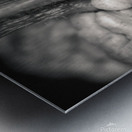 Knucklehead Pumpkin Metal print