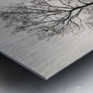 Loch Etive Tree Metal print