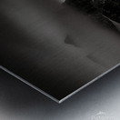 The Old Man Metal print