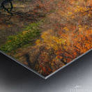 Autumn on River Garry Impression metal