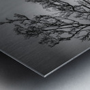 Kilchurn Castle Metal print