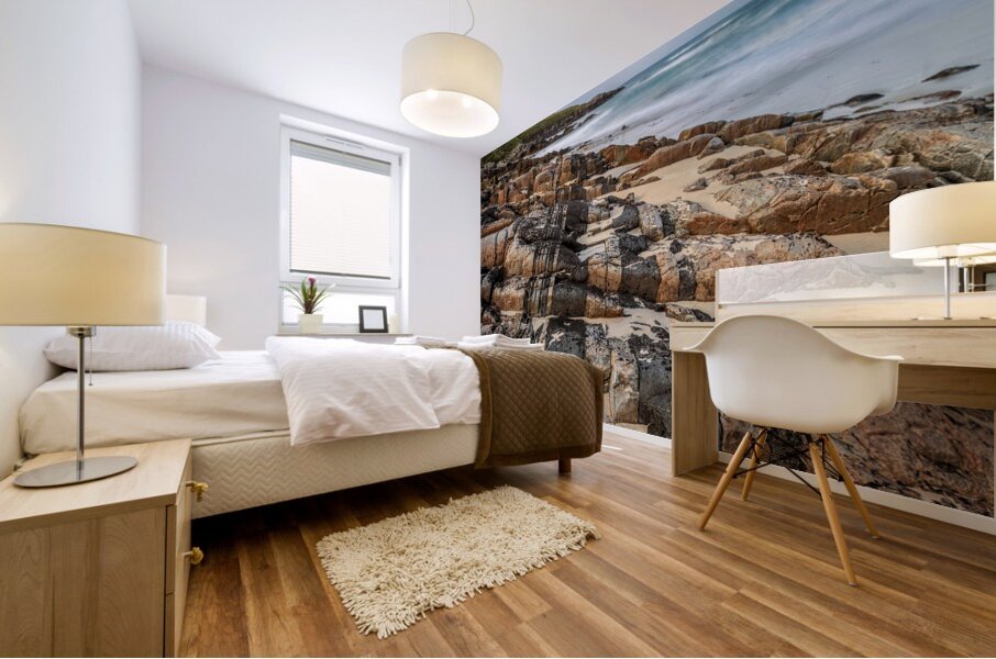 Hosta Beach Rocks Mural print