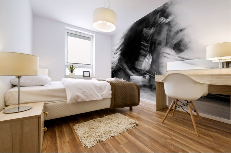 City Horses Mural print