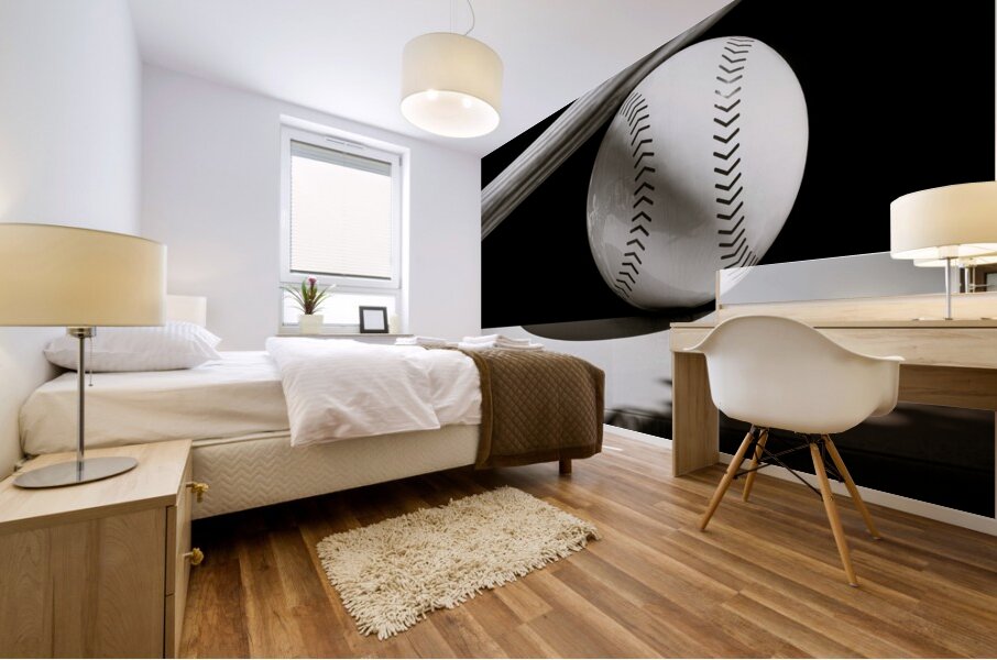 Bat and Ball Mural print