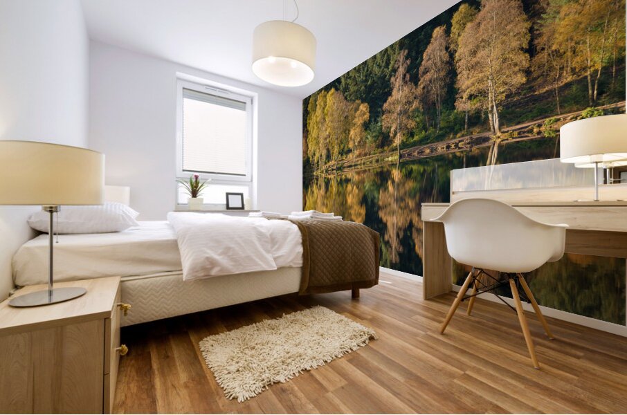 Autumn on Glencoe Lochan Mural print