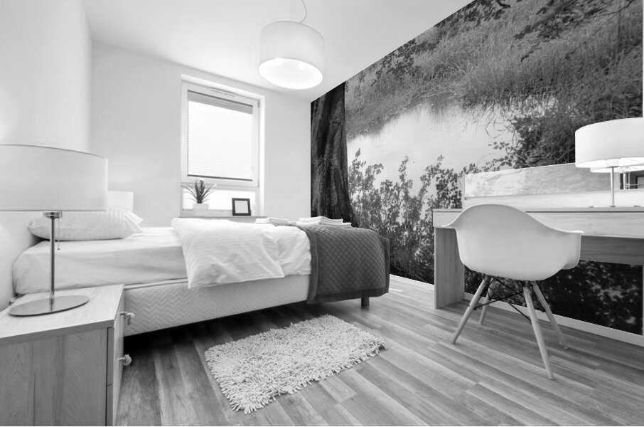 Summer Pond Mural print