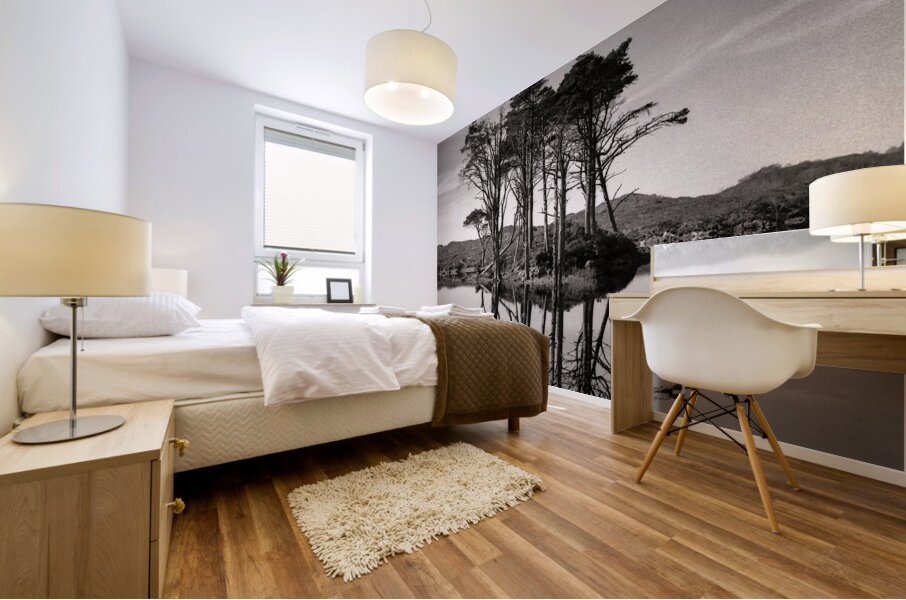 Loch Assynt Reflection II Mural print