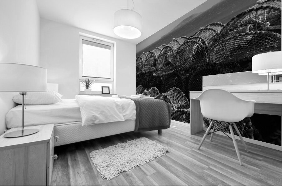 Barra Creel Nets Mural print