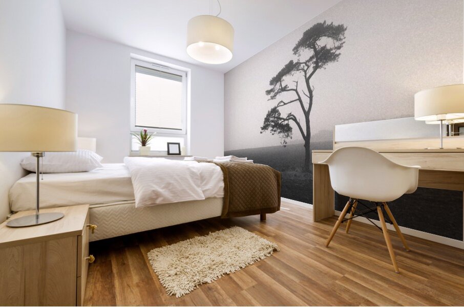 St Cyrus Tree Mural print